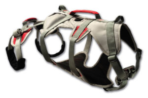 Hunde Abseilgeschirr Ruffwear DoubleBack